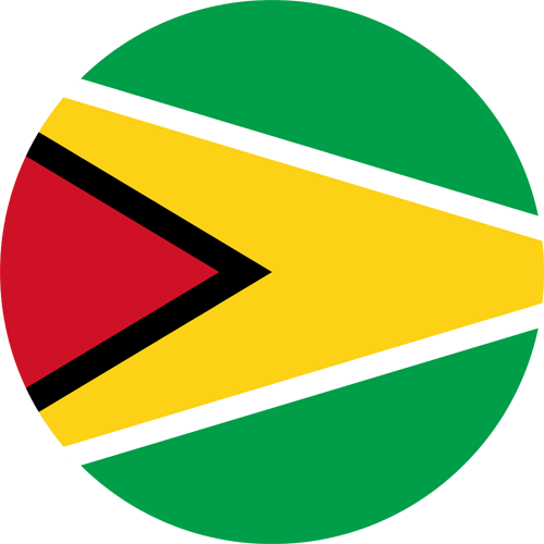 Monthly Newsletter August 2025 Guyana Round Flag