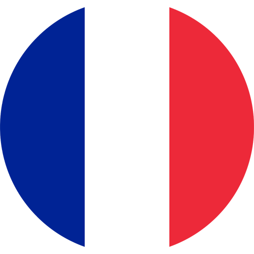 Monthly Newsletter November 2025 France Round Flag