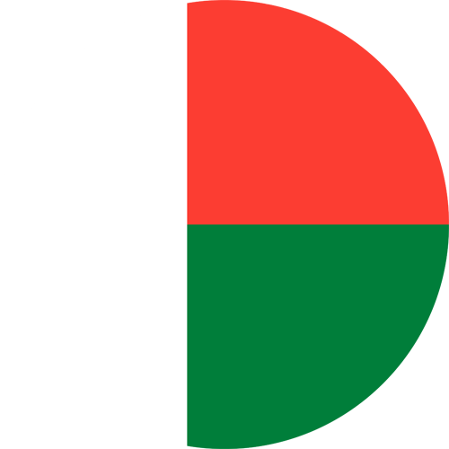 Monthly Newsletter November 2025 Madagascar Round Flag