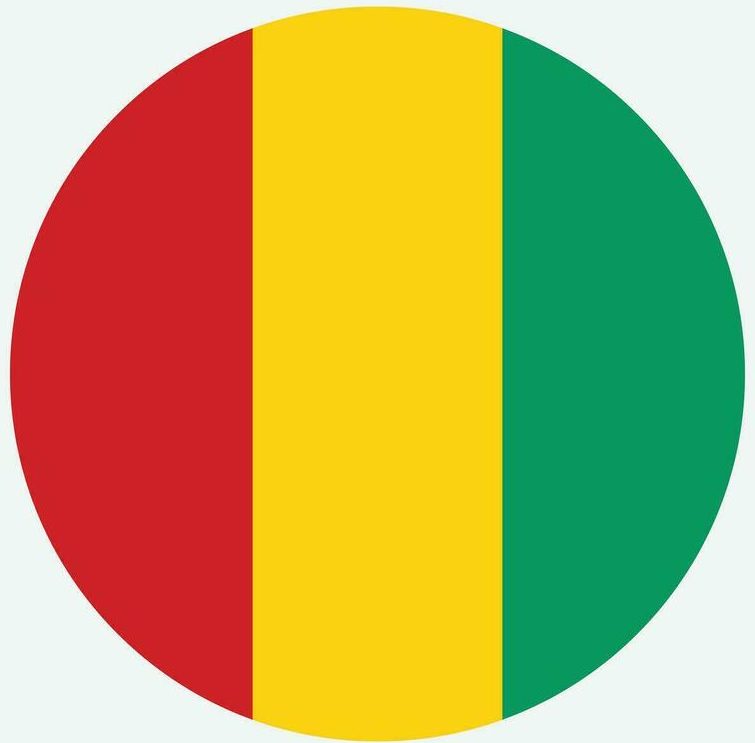 Monthly Newsletter March 2026 Guinea Round Flag e1773134241581