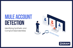 Mule Account Detection: Identifying Synthetic and Compromised Identities